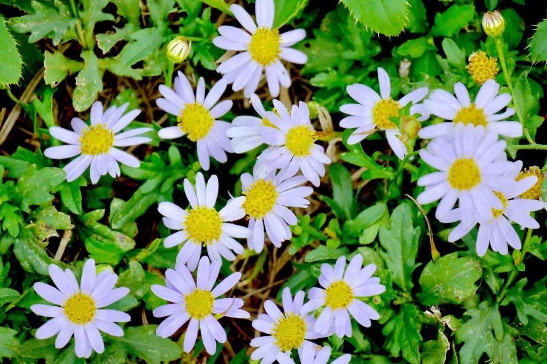 最新最全版私藏版《西安批发市场地图》来啦