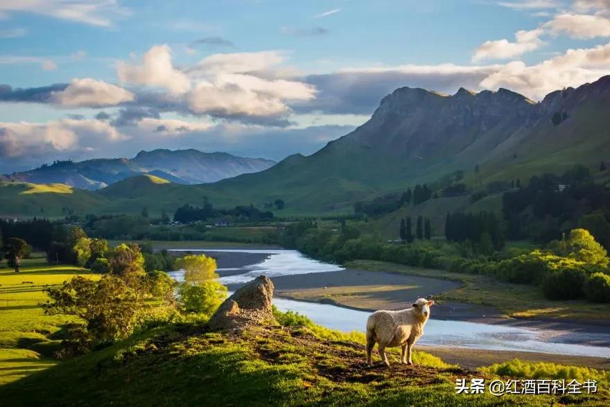 拉菲拉图木桐是一个庄主么,拉菲拉图木桐玛歌奥比昂