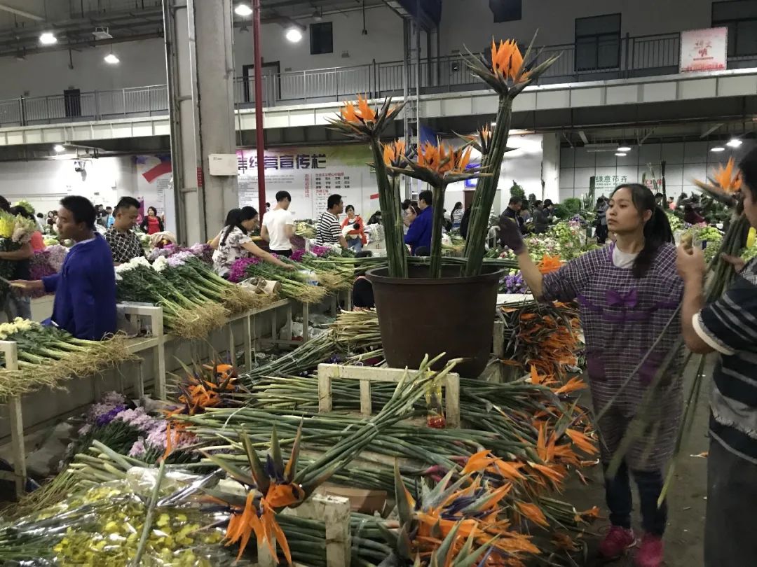 花店鲜花价格表大全,花店鲜花种类及价格表