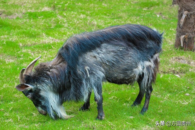 这个夏日，看这个美女如何在浙江乌村的第一百种玩法