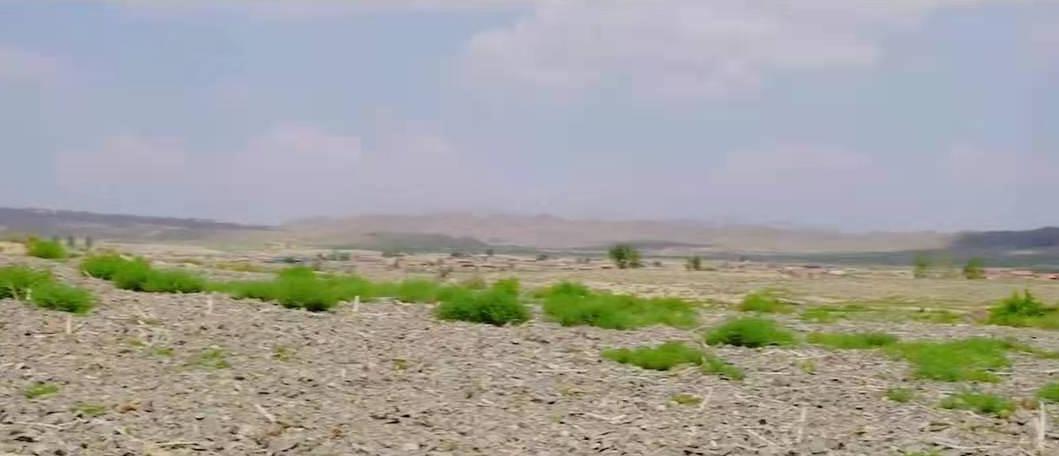 宁夏农民石头地上种植西瓜的原因,宁夏石头缝里种西瓜