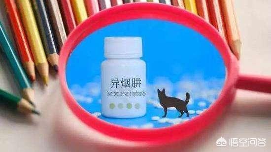 狗被咬肺感染会死吗,狗咬了可以喝抗病毒药水吗