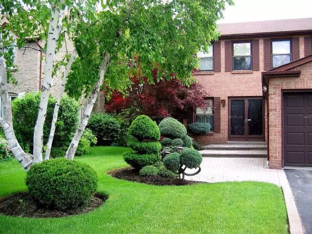 花园草坪怎么种植,花园草坪的种植与养护经验大总结