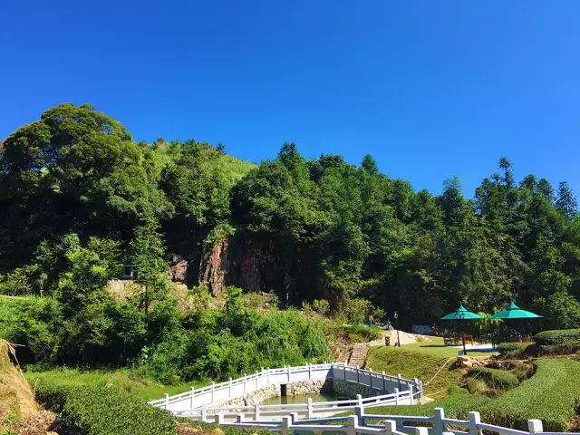 全国十大名茶旅游地,中国十大茶旅