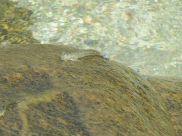 三亚自由行游玩路线,三亚自由行游玩攻略详细