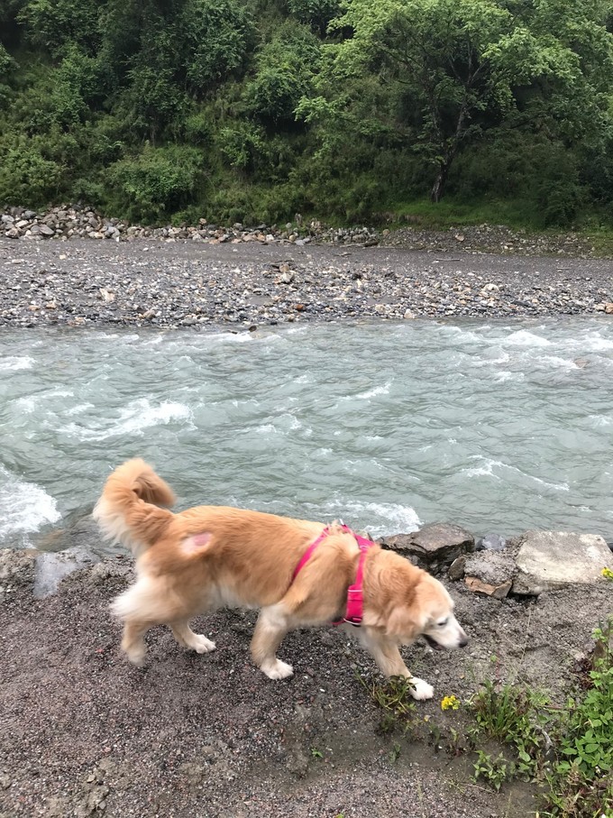 成都喇叭河自驾,自贡到喇叭河自驾