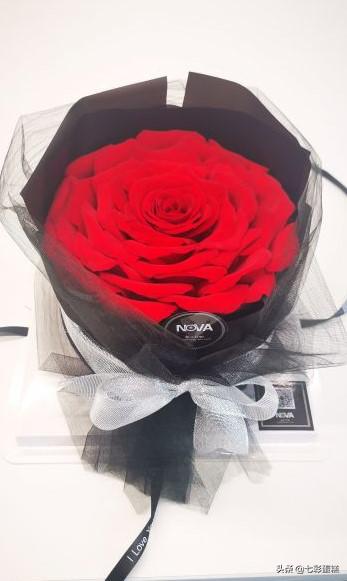 上海哪家蛋糕好吃，上海蛋糕店推荐