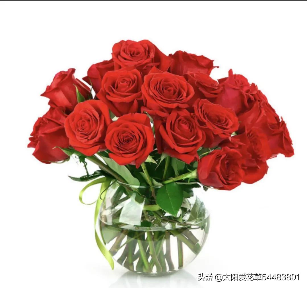 情人节20种礼物推荐,情人节520送什么颜色的花好