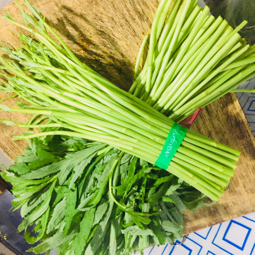 藜蒿和艾草一样吗,长得像艾草的藜蒿