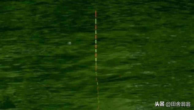 怎么改进浮漂才可以看清漂相,浮漂没动作提竿却中鱼如何调整