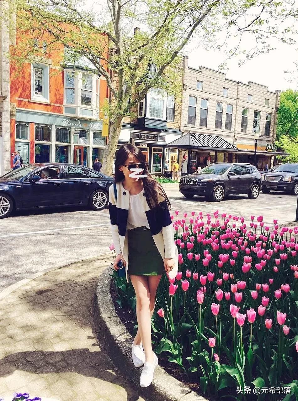 荷兰小镇郁金香盛开,荷兰小镇郁金香花海