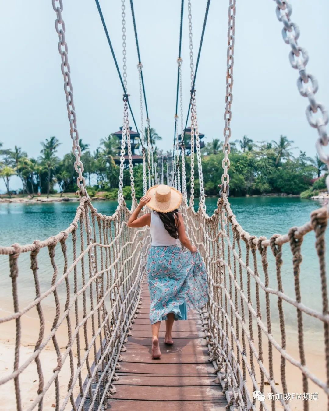 新加坡网红拍照店,新加坡网红点如何拍照