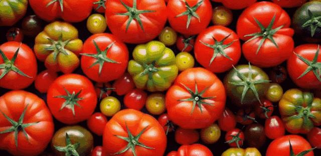 一张嘴就臭是咋回事,刷牙不管用的口臭怎么治