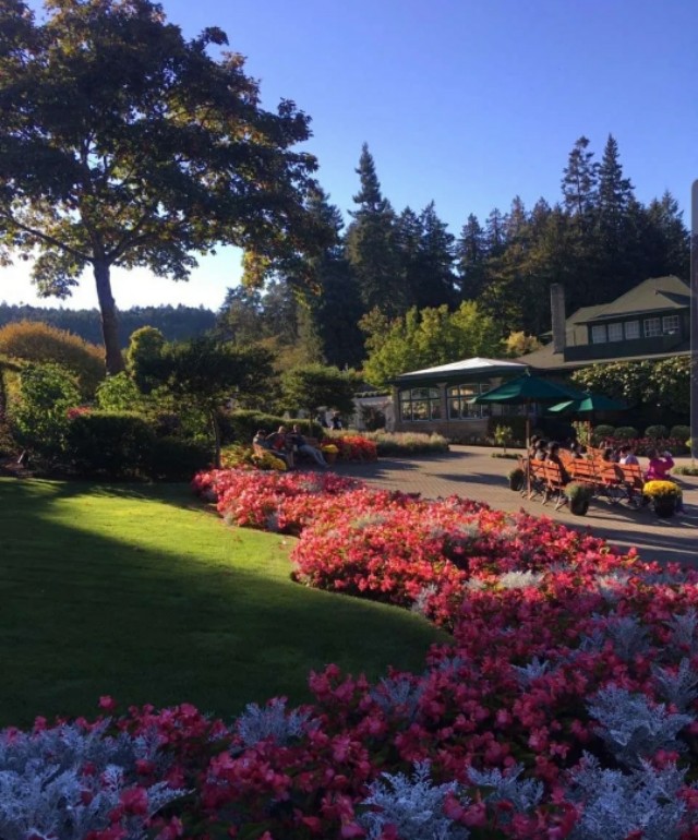 世界上最漂亮的花园图片,布查特花园旅游攻略