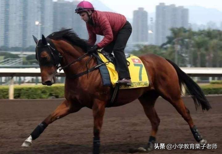 二年级语文一匹出色的马重难点,二年级语文一匹出色的马讲解