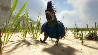 海盗游戏atlas初期工具,海盗游戏atlas生存机制