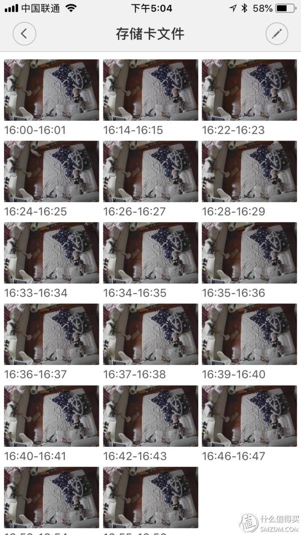 白天不在家猫喂食怎么办,白天不在家猫怎么养