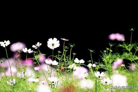 期货投资技巧,期货赚钱100个技巧