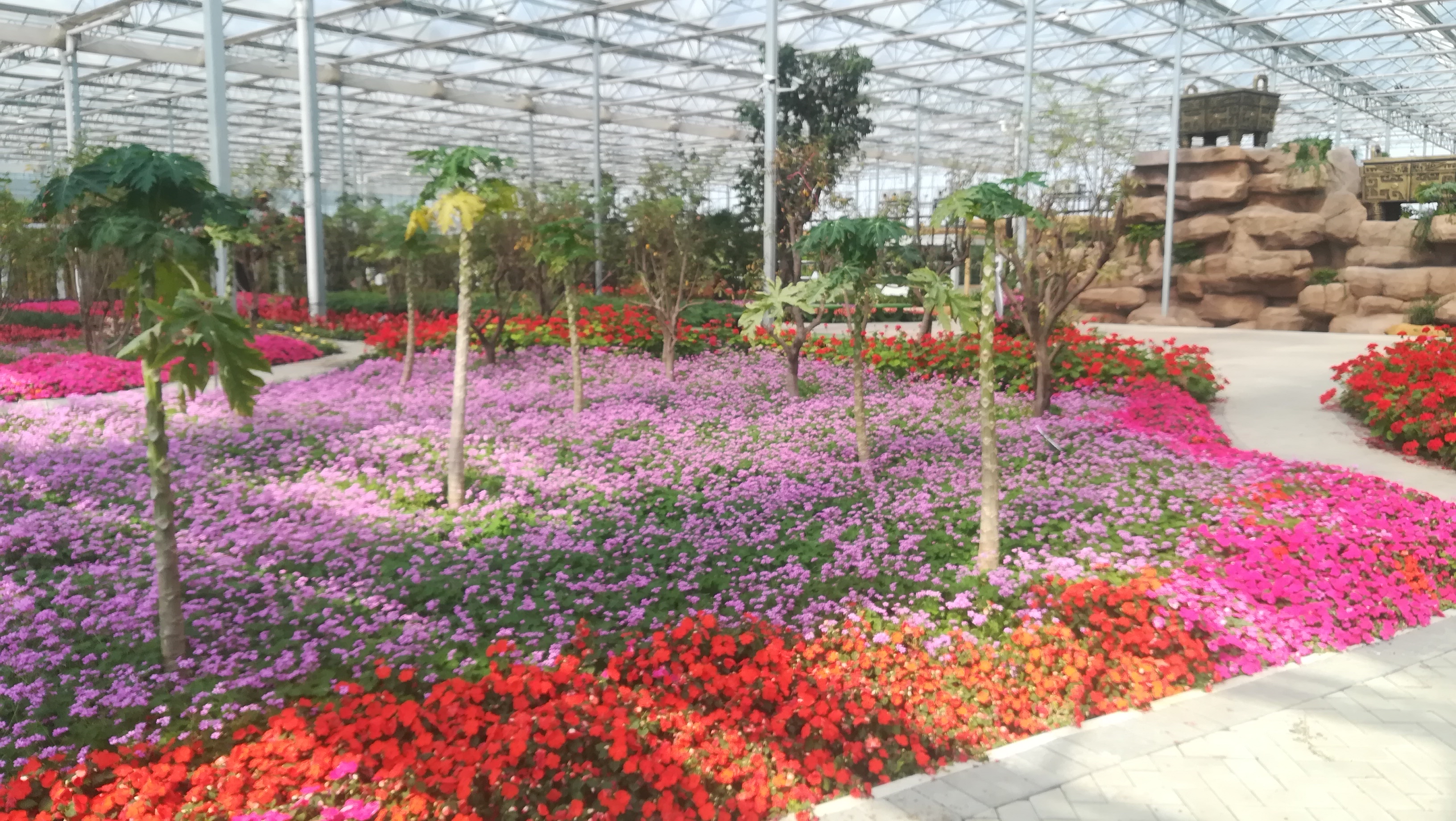 徐水神农庄园的农科园介绍,徐水炎帝神农庄园