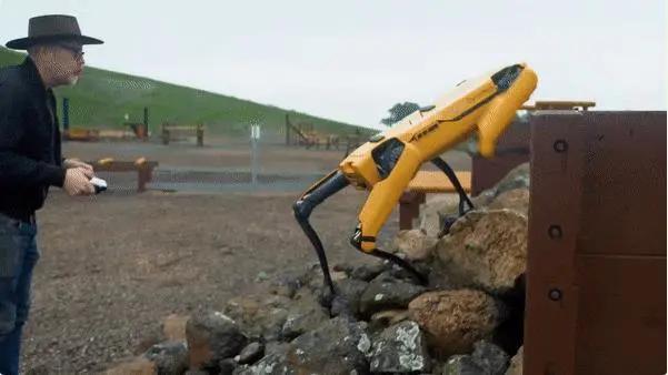 网红机器狗多少钱一台,网红爆款智能机器狗