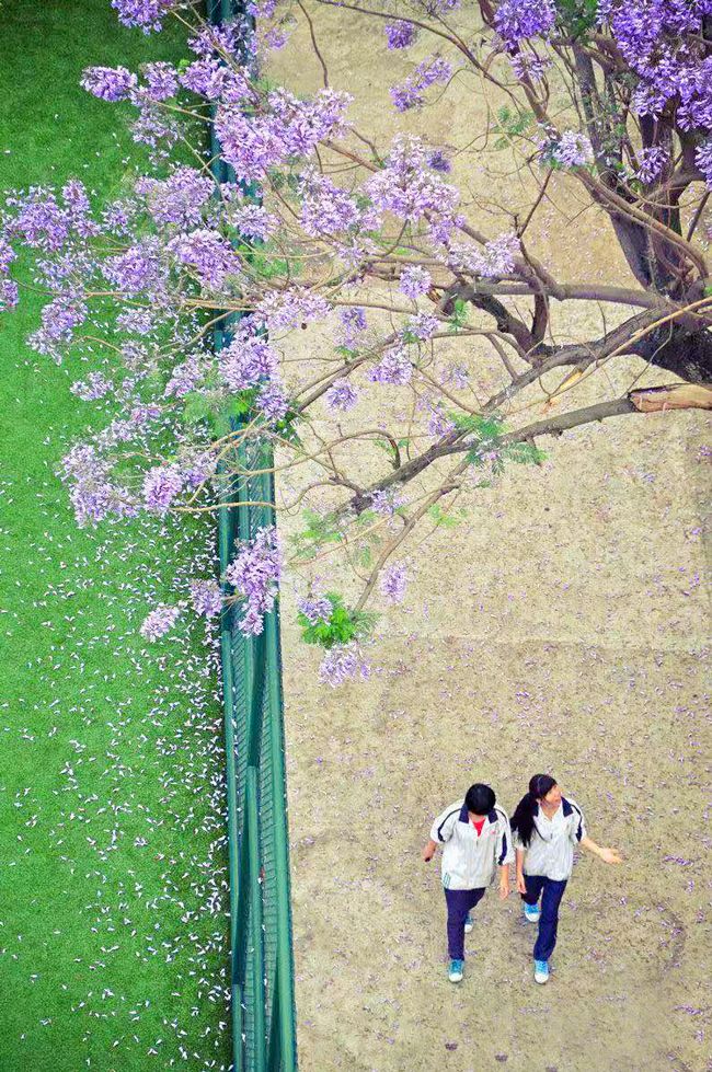 任尔东西南北风配图,任尔东西南北风我亦巍然不动