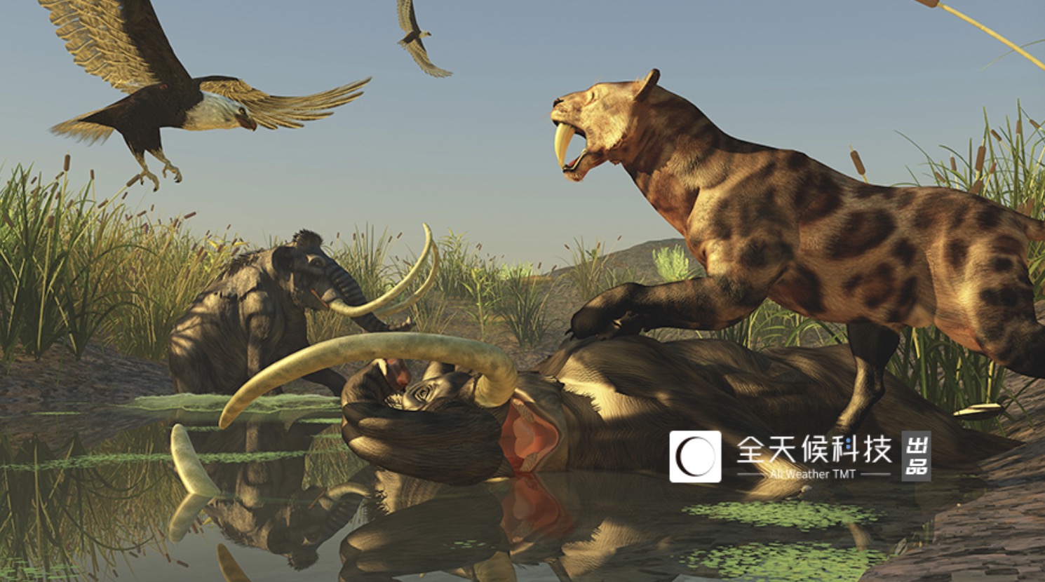 爱优腾和b站哪个更好,大战再起