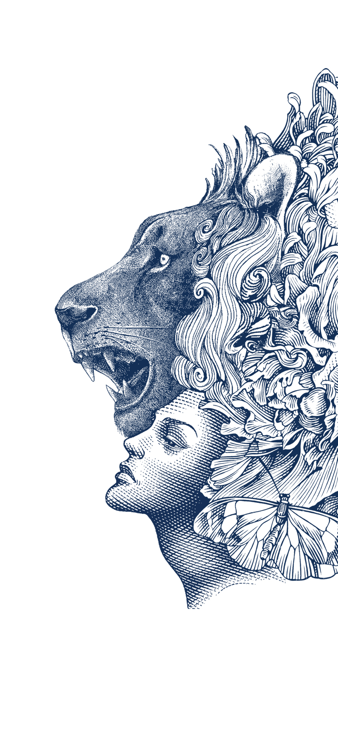 我的酒量是雪花不飘我不飘~雪花黑狮全新包装