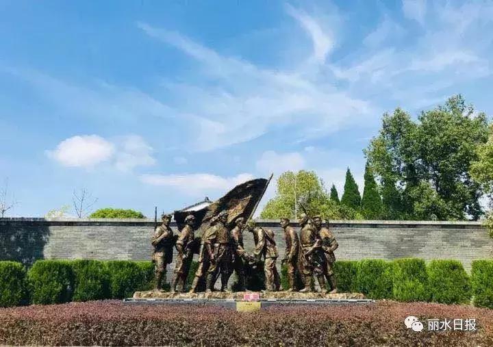 红色新丽水,红色浙西南央视