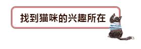 自家猫咪终于不再高冷懂得关心,为什么猫咪变得高冷了