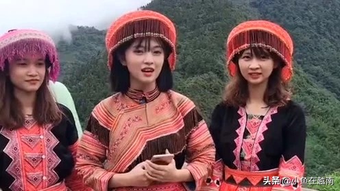 越南的风土人情简介,越南有什么风土人情