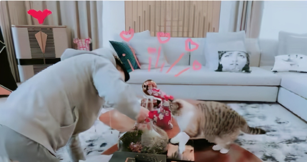 安以轩生二胎晒幸福，家中豪宅大气又精致，嫁富商老公婚后受宠