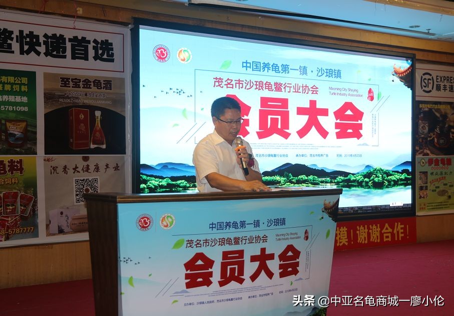 沙琅龟协会,沙琅乌龟协会