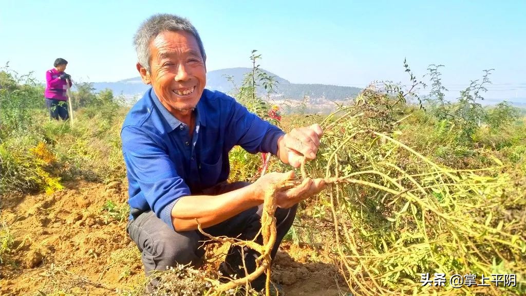 养老护理员培训宣传报道,开展养老护理员培训简报