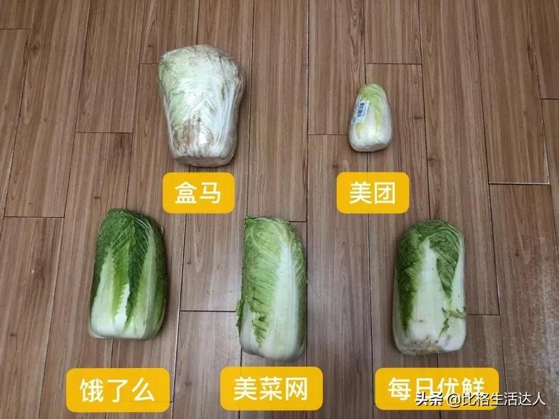 疫情买菜app排行榜前十名,现在买菜app有哪些