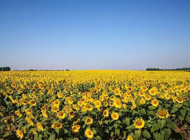 沈阳文旅城旅游,沈阳文旅十大打卡地