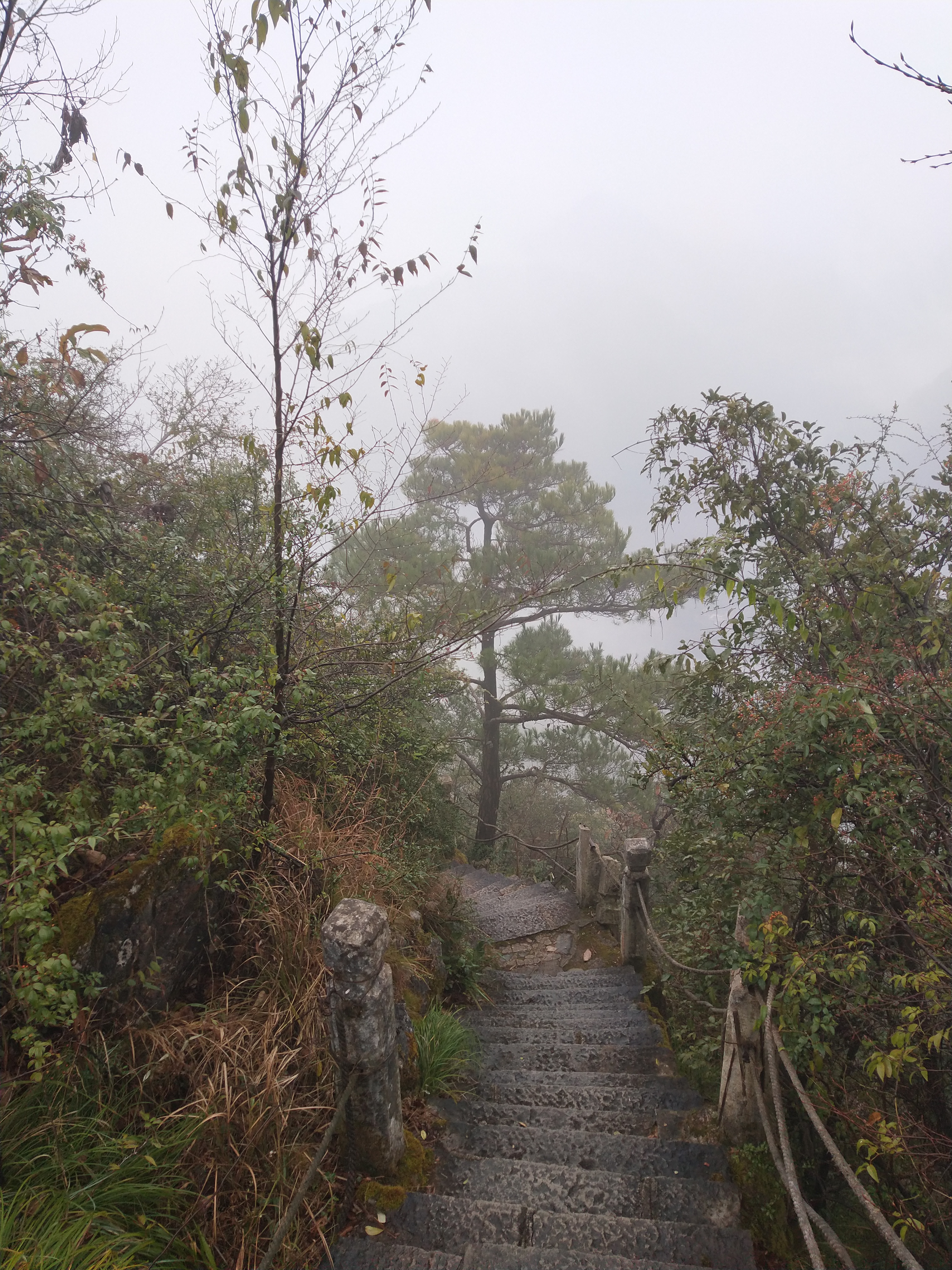 微游贵阳：深度玩透黔灵公园之自然风景