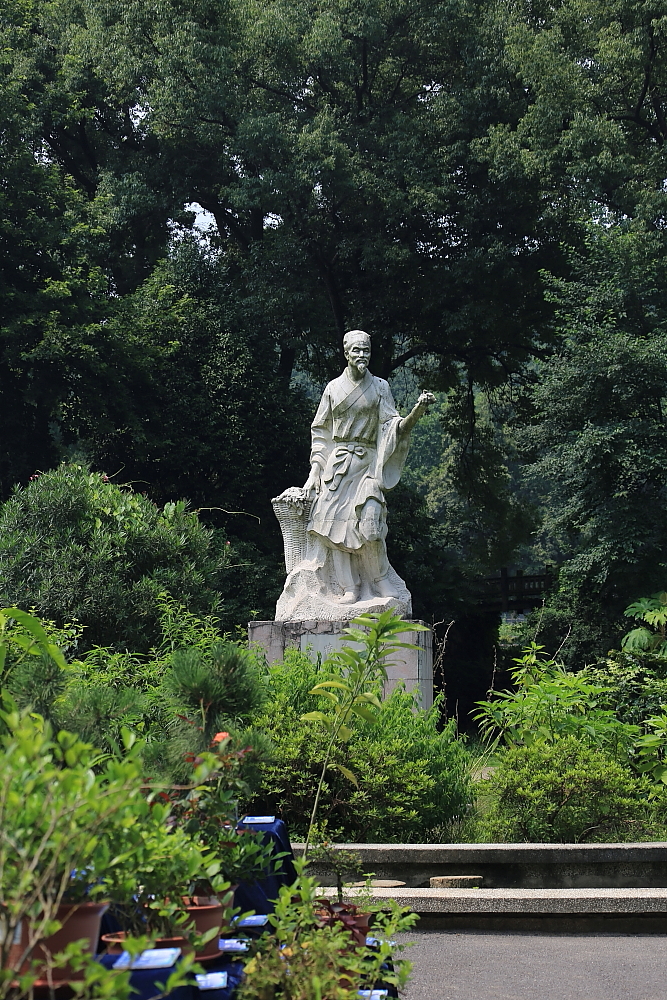 植物园的景；青山吹奏《红河谷》（F调）半音阶口琴演奏第二版