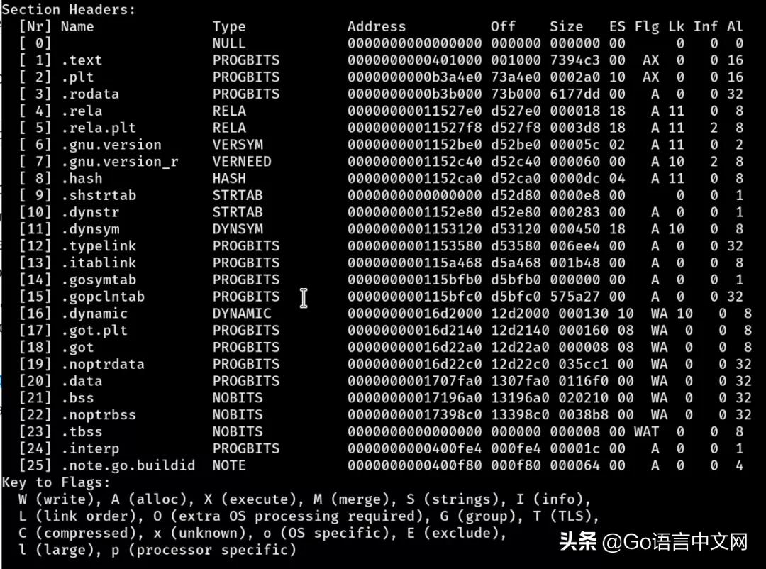 在Golang中使用-w和-s标志