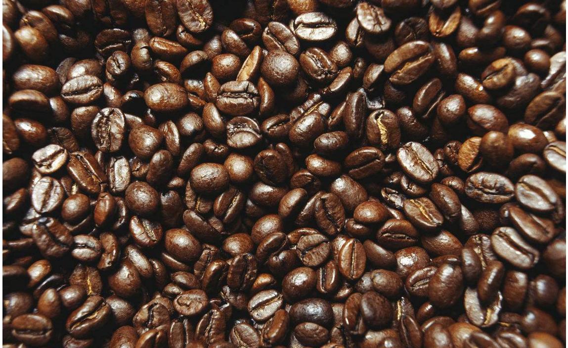 你不知道的国家冷知识毛里求斯篇,你不知道的国家冷知识玻利维亚篇