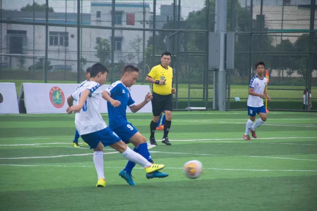 2023年熊猫夏令营,2019熊猫夏令营