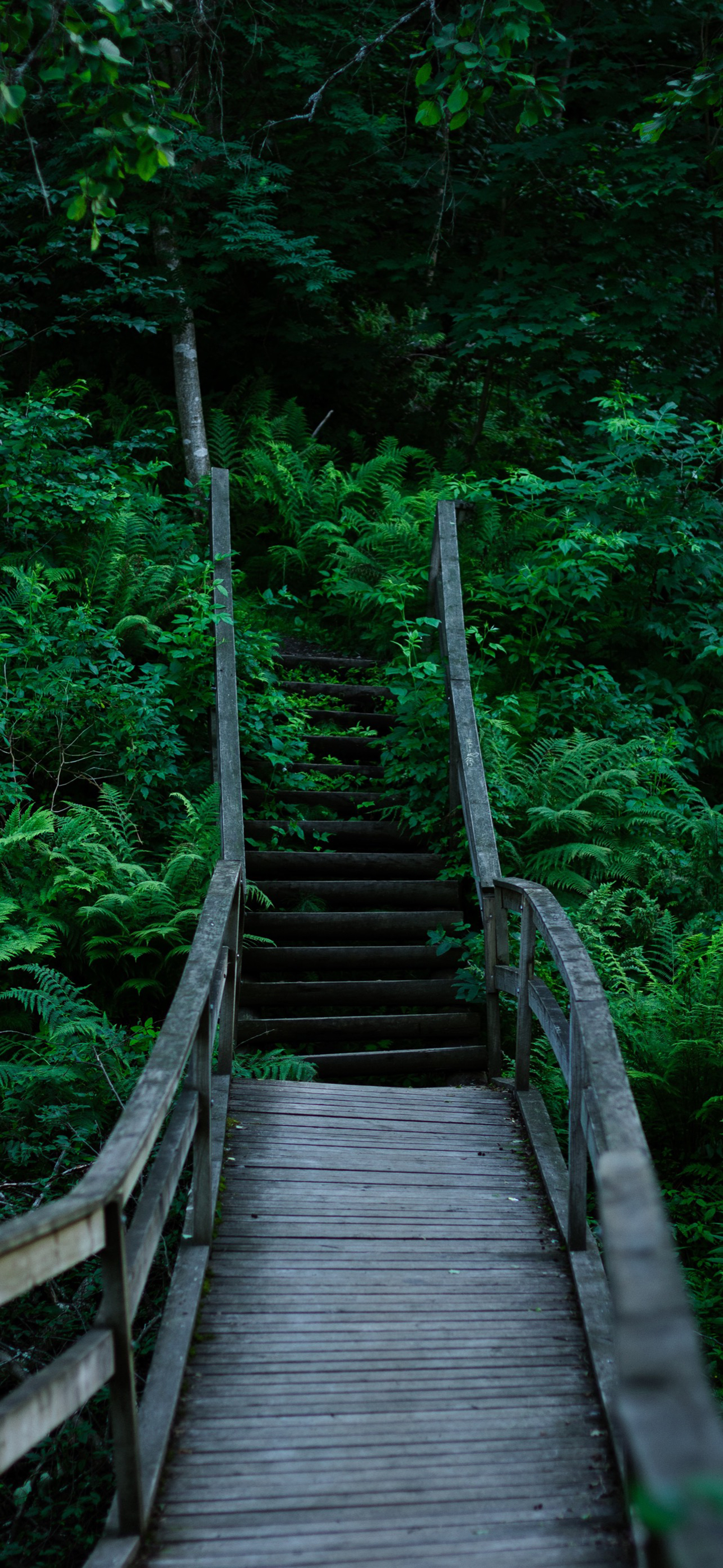 高清风景壁纸｜你静候着秋天的温柔，留我在风景之外