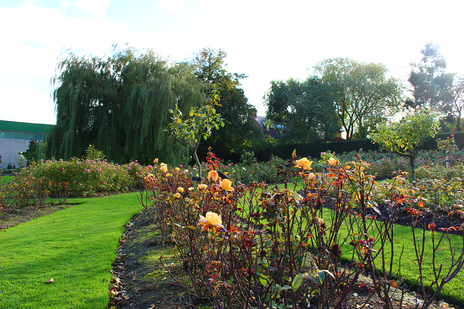 利兹大学有几个获诺贝尔奖,利兹大学6位诺贝尔奖得主