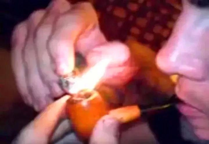 蝎子有毒但无毒,蝎子能当烟抽吗