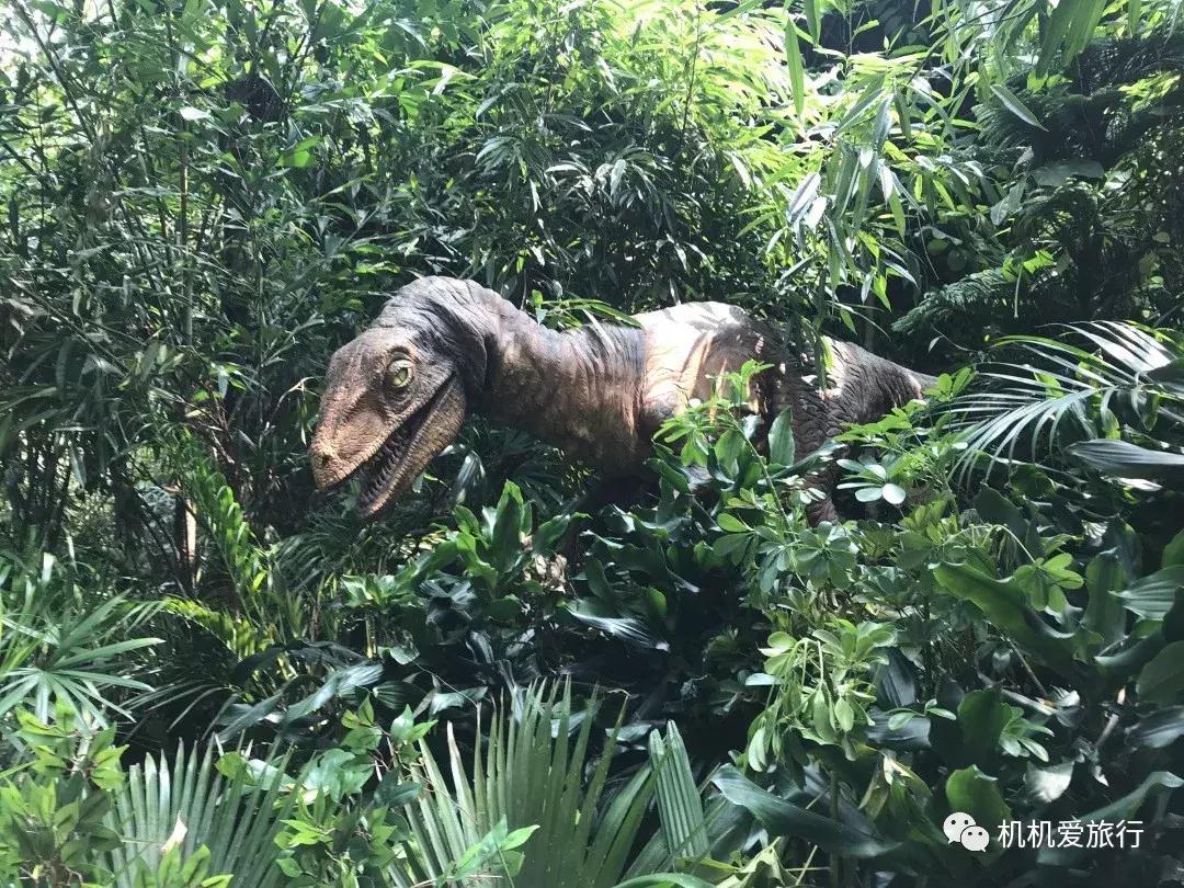 珠海长隆和广州长隆旅行攻略,珠海长隆和广州长隆旅游攻略区别