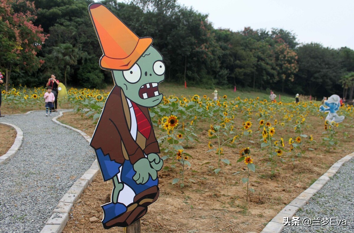 植物大战僵尸和孩子玩 (孩子充值植物大战僵尸)