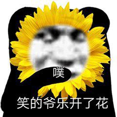 考研英语零基础要怎么开始准备,英语0基础考研现在备考来得及么