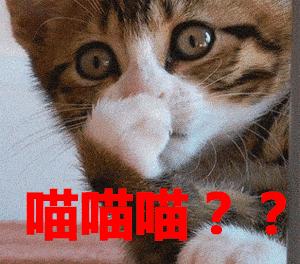 夜里歇斯底里的女孩,楼上的那个女人