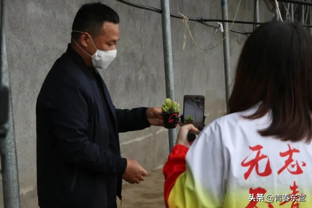 高沟村多肉种植基地直播,中庄多肉种植基地直播