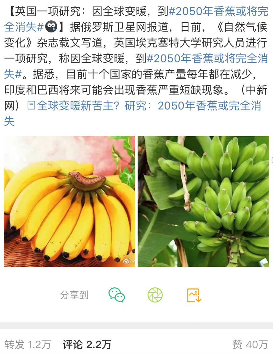 被翻译软件坑惨的老外,被翻译坑后续