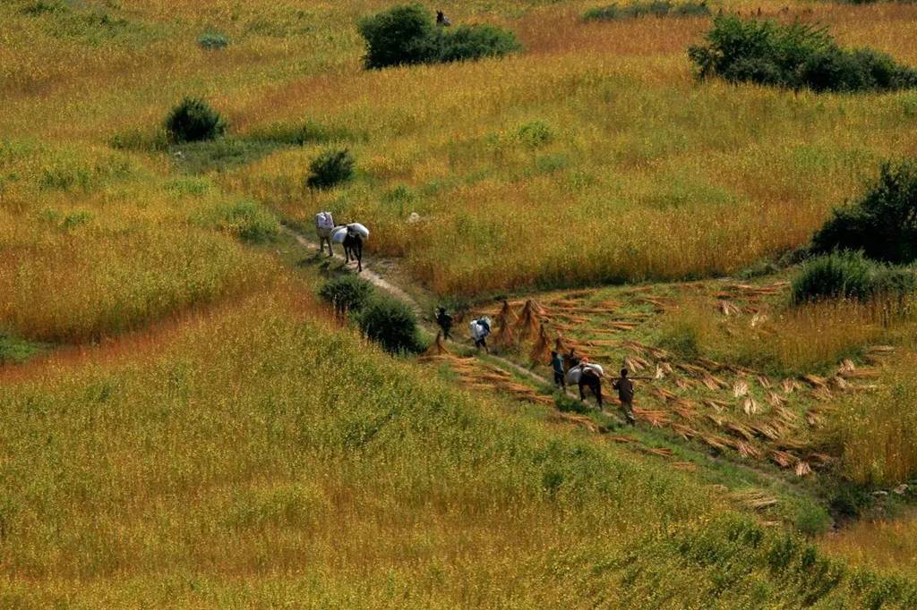 国际旅游摄影推荐,大凉山摄影攻略